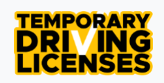 Temporary Driving License